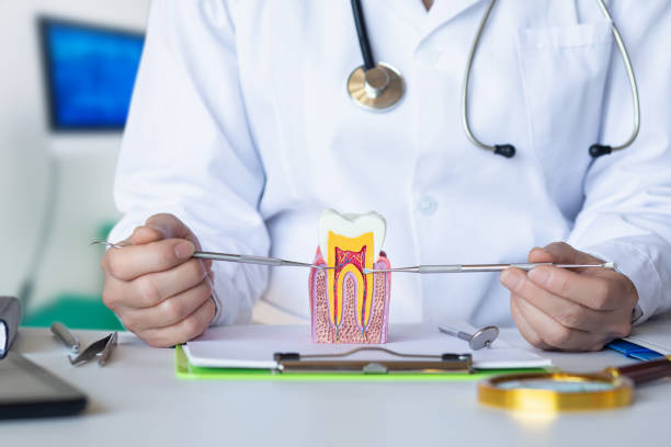 Best Emergency Tooth Extraction in Warrenton, GA